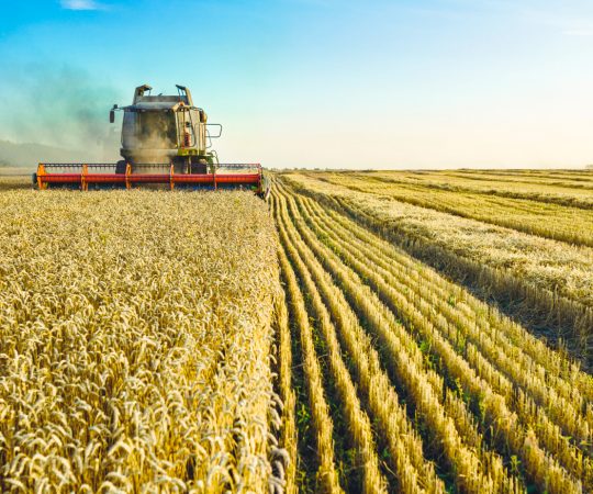 Agriculture-2_72